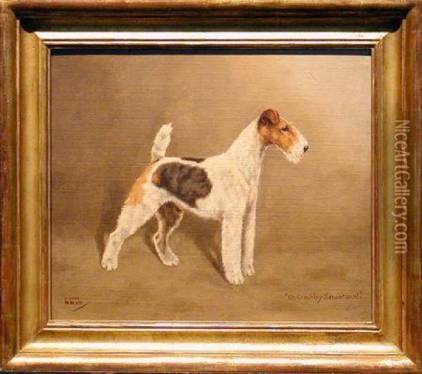 Ch. Crackley Sensational, A Wirehaired Fox Terrier Oil Painting - Wilhelm, Willi Lucas