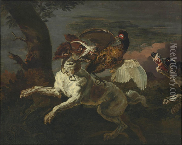 A Spaniel Attacking A Pheasant Oil Painting - Abraham Hondius