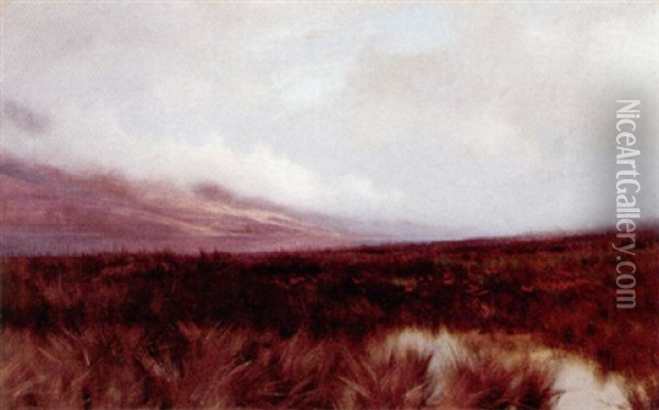 Misty Moorland Oil Painting - John Howard Lyon