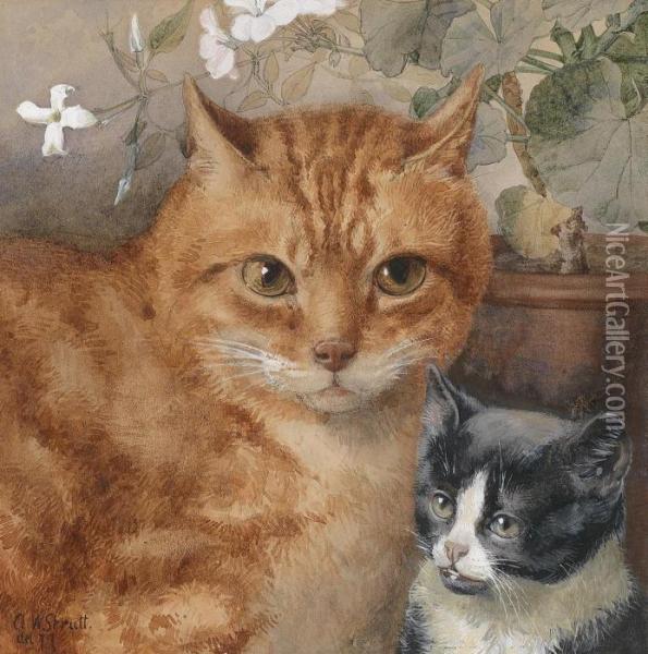 Cats Oil Painting - William Strutt