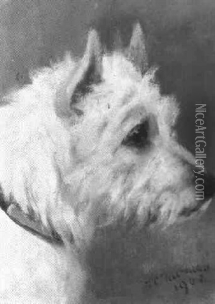 West Highland Terrier Oil Painting - Frances C. Fairman