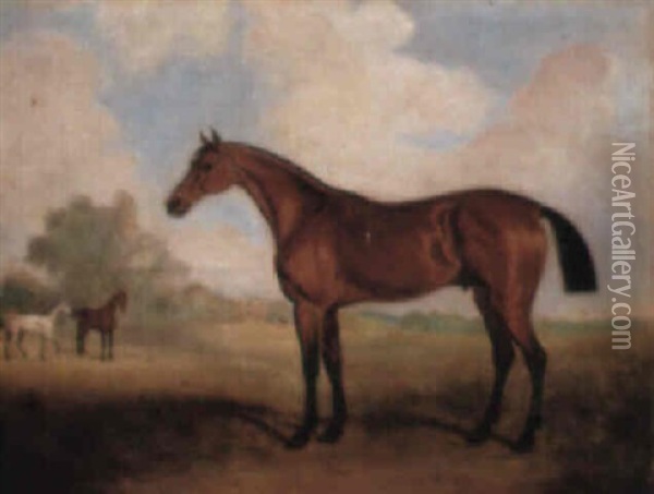 A Stallion In A Landscape, With Horses In The Middleground Oil Painting - John Ferneley Jr.