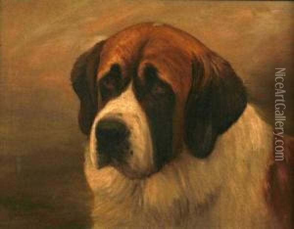 St Bernard Dog Oil Painting - Henry Crowther