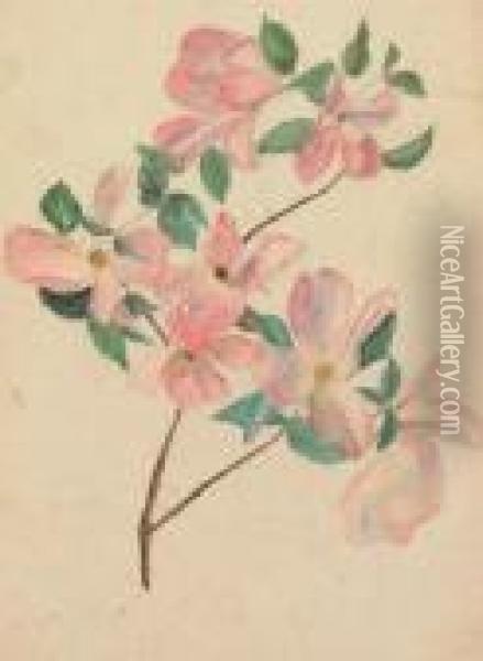 Dogwood Branch Oil Painting - Louis Comfort Tiffany