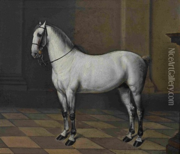 Lipizzanerhengst Oil Painting - Johann Georg de Hamilton