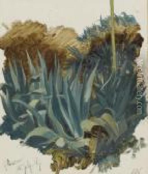 Agave Oil Painting - Edward Lear