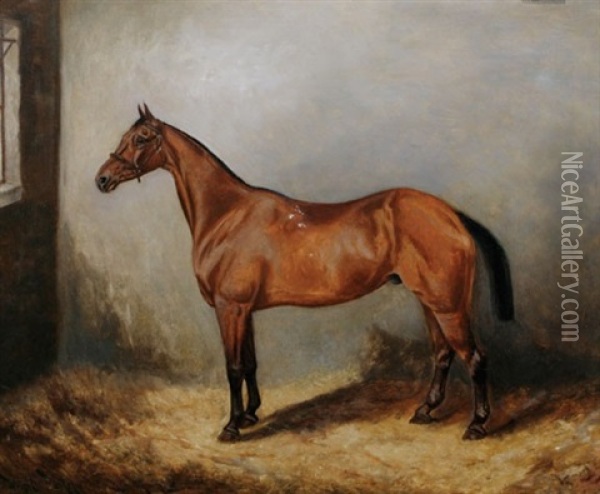 Brown Horse In A Stable Oil Painting - Wright Barker