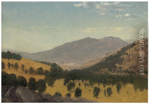 Bergen Park, Colorado Oil Painting - John Frederick Kensett