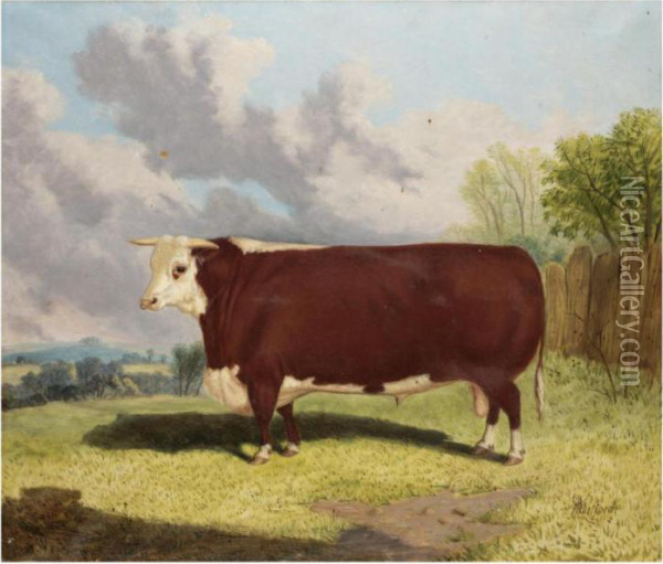 Prize Bull Oil Painting - Richard Whitford