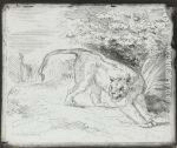 Tigre En Arret Oil Painting - Eugene Delacroix