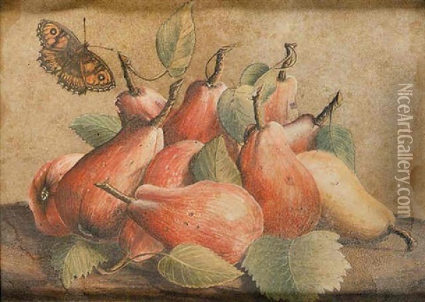 Pears With A Butterfly Hovering Nearby Oil Painting - Giovanna Garzoni