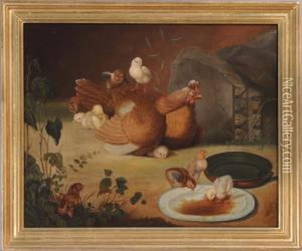 Hen & Chickens Oil Painting - Arthur Fitzwilliam Tait