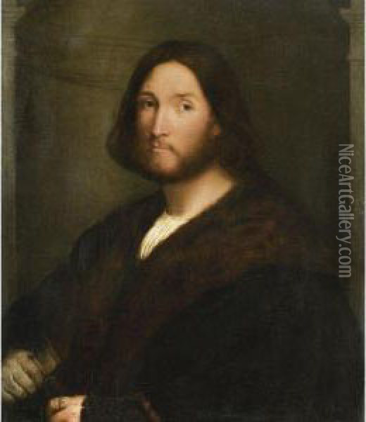 Portrait Of A Gentleman Oil Painting - Palma Vecchio (Jacopo Negretti)