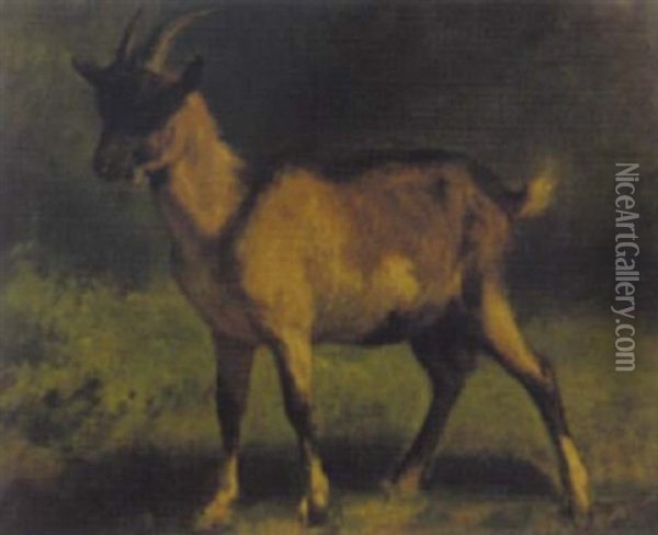 Ziegenbock Auf Der Weide Oil Painting - Franz Xaver von Pausinger
