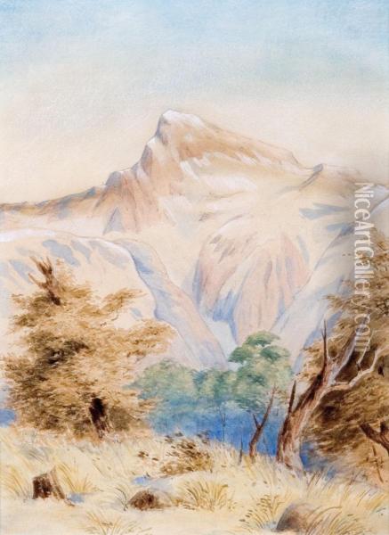 Southern Alps, Mountain Scene Oil Painting - Thomas Selby Cousins