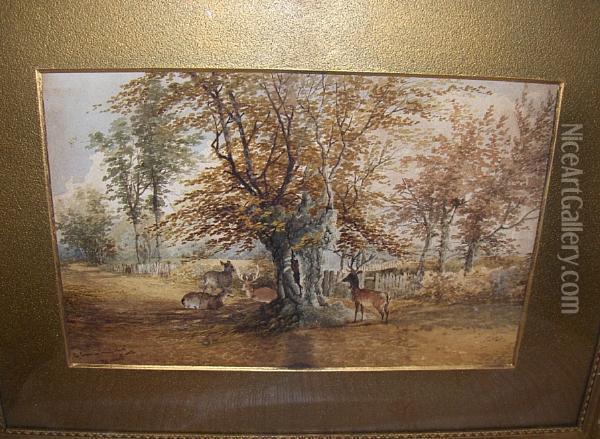 A Scene In Knole Park, Kent Oil Painting - Stephen J. Bowers