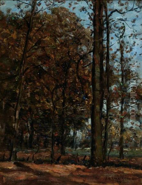 A Forrest Oil Painting - Jan Adam Zandleven