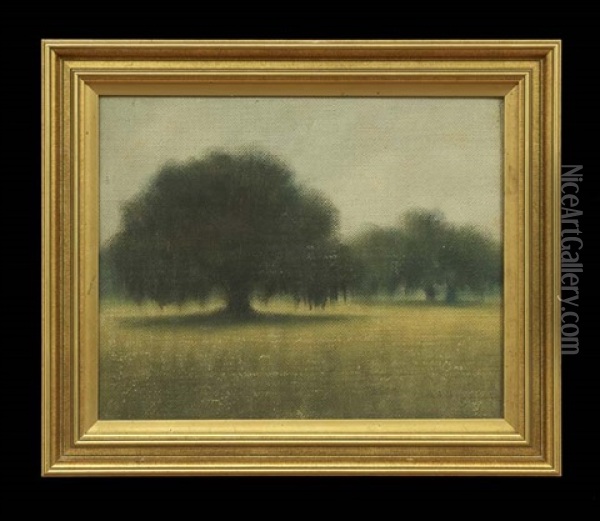 Louisiana Landscape With Moss-draped Oak Trees Oil Painting - Alexander John Drysdale
