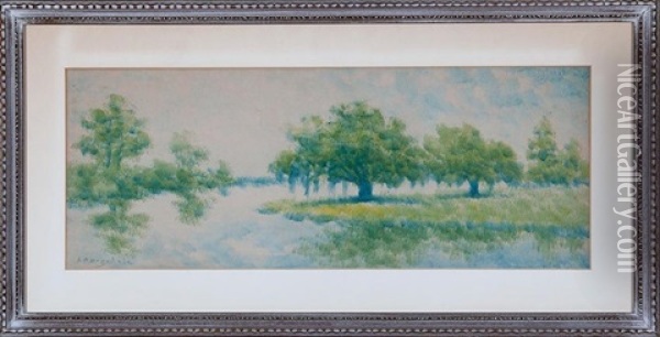 Live Oak Trees On The Louisiana Bayou Oil Painting - Alexander John Drysdale