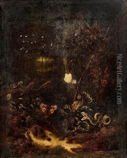 A Forest Floor Still Life With A Snake, Two Butterflies And A Lizard Oil Painting - Otto Marseus van Schrieck