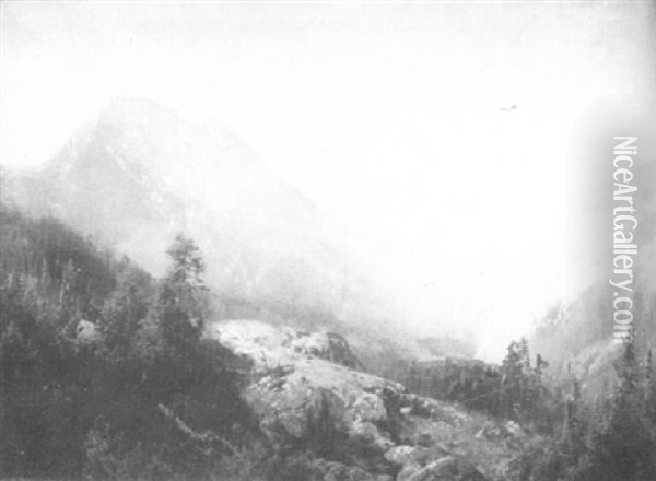 Mountain Scene Oil Painting - Hermann Herzog