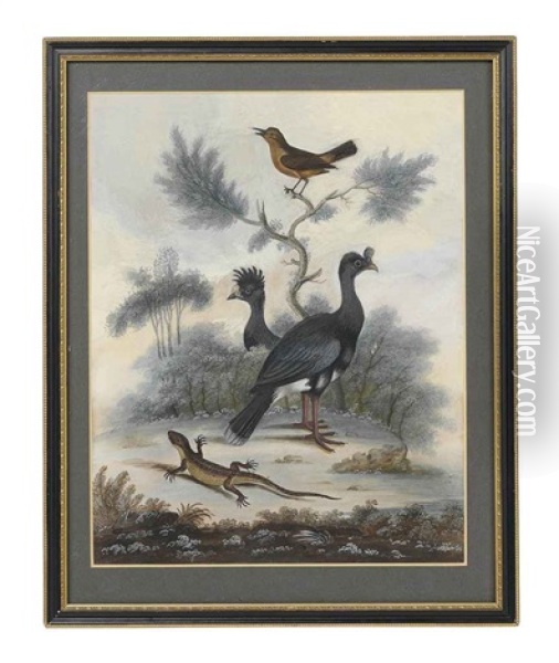 Untitled (bird And Lizard) Oil Painting - William Hayes