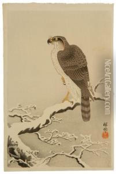 Hawk On A Snow-covered Tree Branch Oil Painting - Ohara Koson