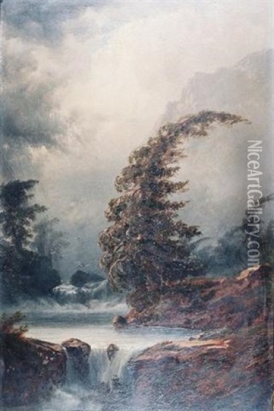 Rocky Mountain Stream Oil Painting - Alexander Francois Loemans