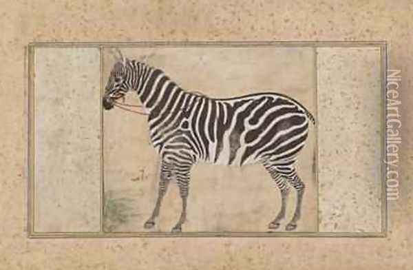 Zebra from Northern India Oil Painting - (Ustad Mansur) Mansur