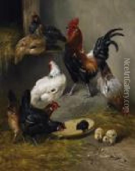 Poultry In The Stable Oil Painting - Henry Schouten