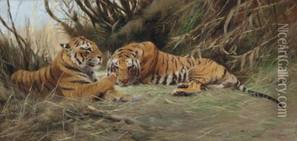 Tigers At Dawn Oil Painting - Wilhelm Kuhnert