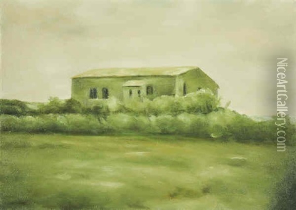 Una Casa Oil Painting - Franz Baumgartner