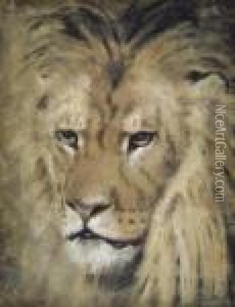 Study Of The Head Of A Lion Oil Painting - William Huggins