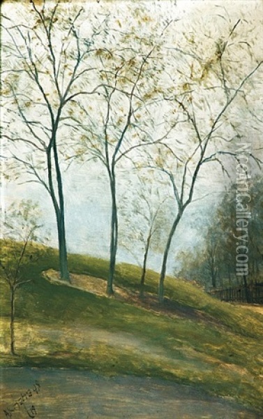 Stromovi, U Obory Oil Painting - Augustin Satra