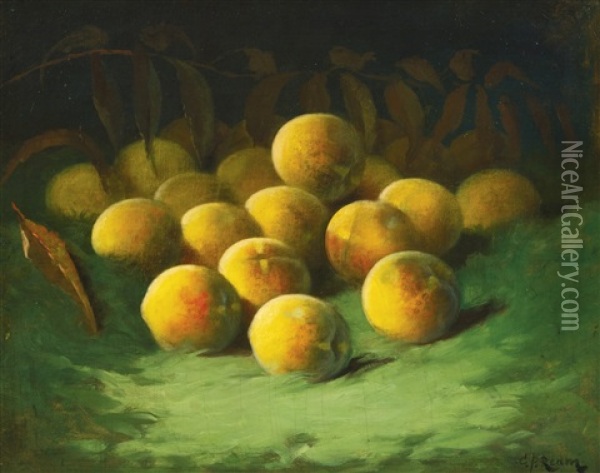 Peaches Oil Painting - Carducius Plantagenet Ream