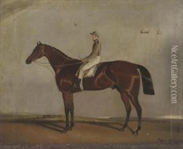 A Chestnut With Jockey Up, A Race Course Beyond Oil Painting - Samuel Spode