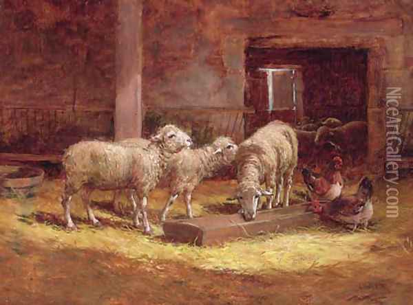 Sheep and chickens in a barn Oil Painting - Charles Clair