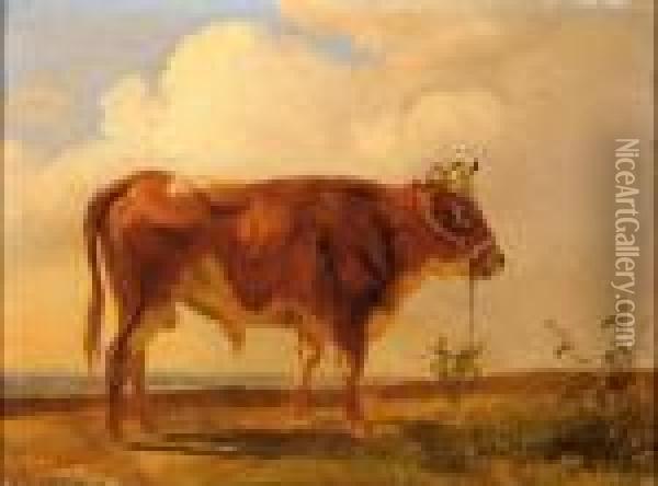 A Bull Oil Painting - Pieter Gerardus Van Os