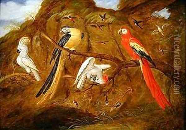 A scarlet blue and gold macaw with cockatoos and other birds in a landscape Oil Painting - Jan Baptist van Fornenburgh