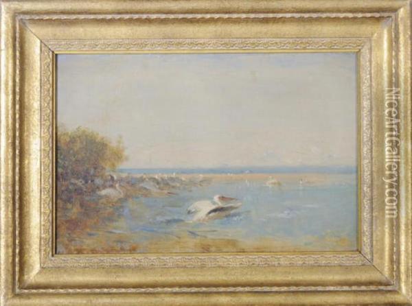 Pelicans Oil Painting - Felix Ziem