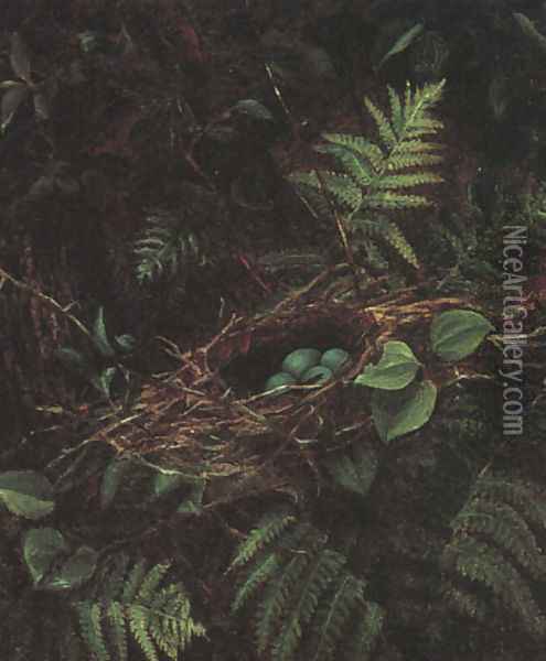 Bird's Nest and Ferns, 1863 Oil Painting - Fidelia Bridges