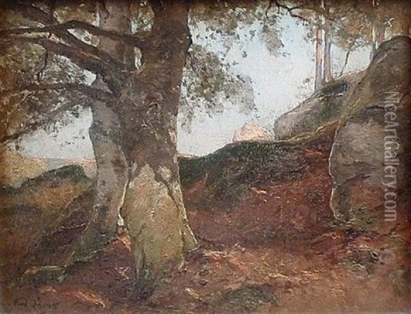 En Foret De Fontainebleau Oil Painting - Paul Lecomte