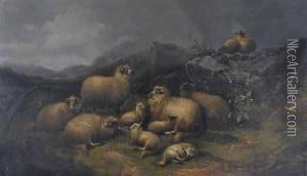 Sheep In The Mountains Oil Painting - Alfred Morris