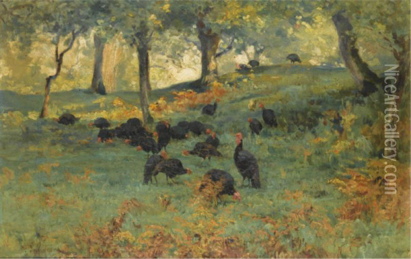 Turkeys In A Forest Landscape Oil Painting - Ernst Johannes Schaller