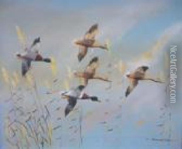 Mallard Ducks In Flight Oil Painting - Edward Matthew Ward