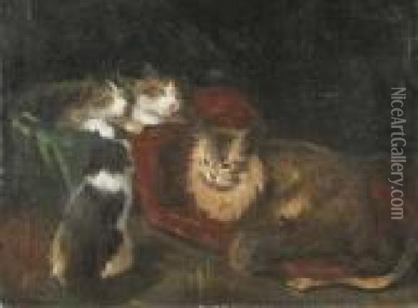 Kittens Oil Painting - Joseph A. Kleitsch