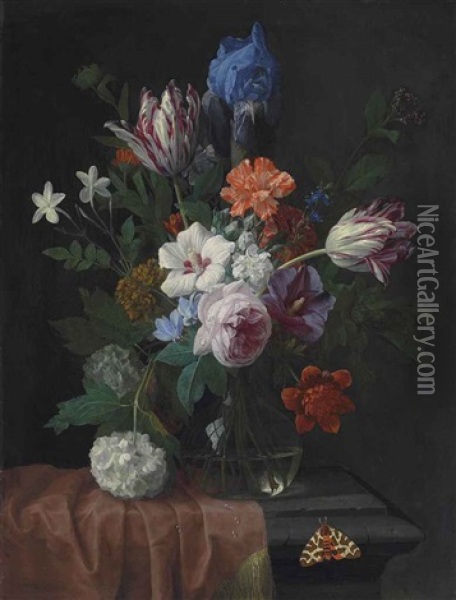Hibiscus, Parrot Tulips, Carnations, A Rose, An Iris, Snowballs And Other Flowers In A Vase On A Partially Draped Stone Ledge, With A Garden Tiger Moth Oil Painting - Nicolaes van Veerendael