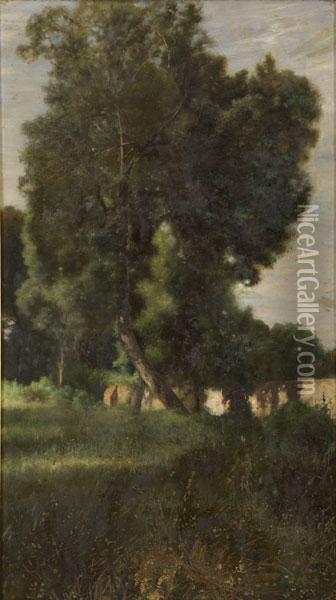 Paesaggio Boschivo Con Lago Oil Painting - Giovanni Battista Filosa