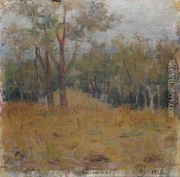 Vederedin Parcul De La Cucuteni Oil Painting - Gheorghe Popovici