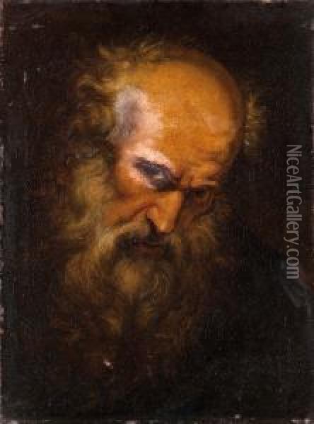 Testa Di Apostolo Oil Painting - Giovanni Battista (Baciccio) Gaulli